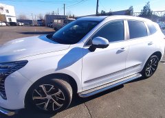 Тюнинг внедорожника Пороги с накладным листом Haval Jolion 2021 