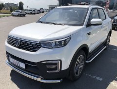Тюнинг внедорожника Пороги с накладным листом Changan CS55 2018г- наст. время 